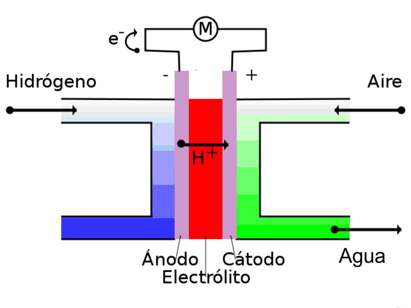 C Mo Funcionan Las Celdas De Hidr Geno Autocosmos