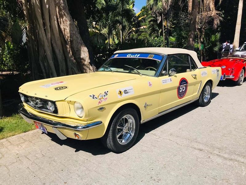 Rally Maya 2019
