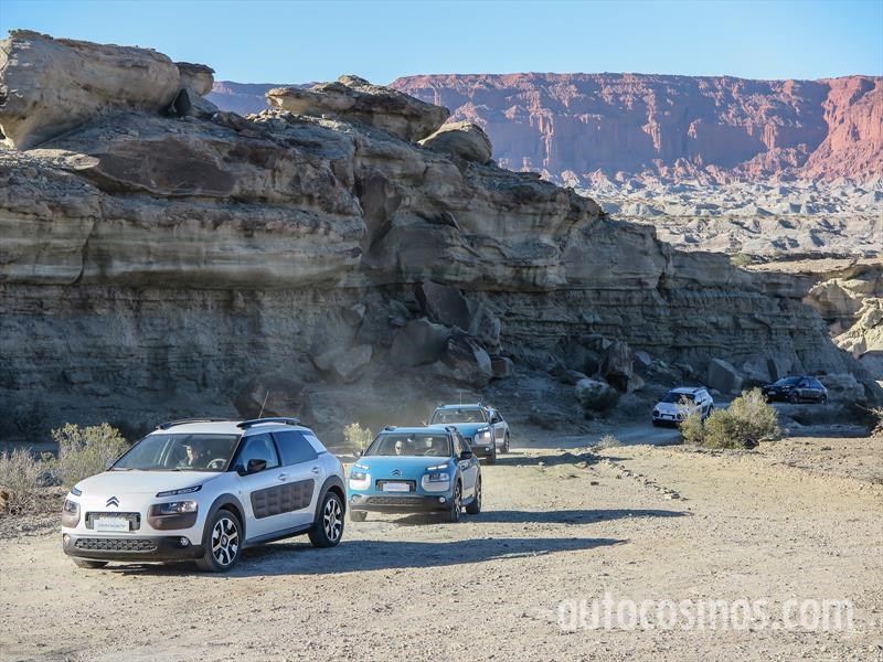 Citroën C4 Cactus primer contacto