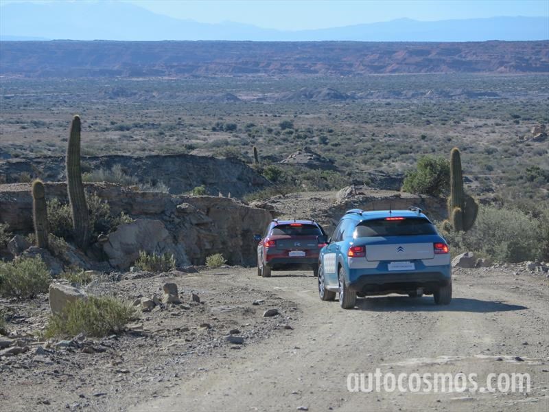 Citroën C4 Cactus primer contacto