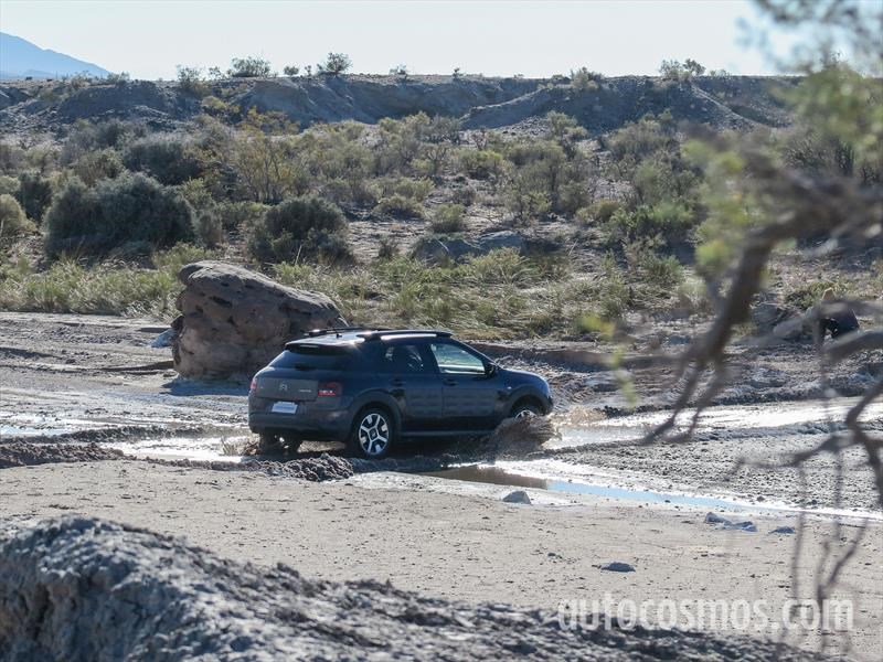 Citroën C4 Cactus primer contacto