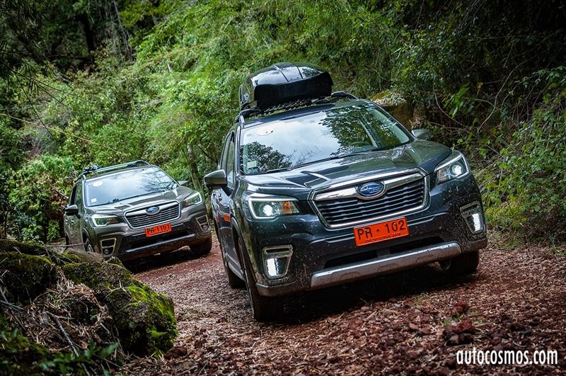 Subaru Forester 2019 - Lanzamiento Regional