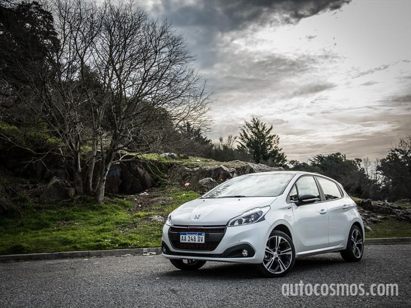 Las mejores fotos de Autocosmos en 2016