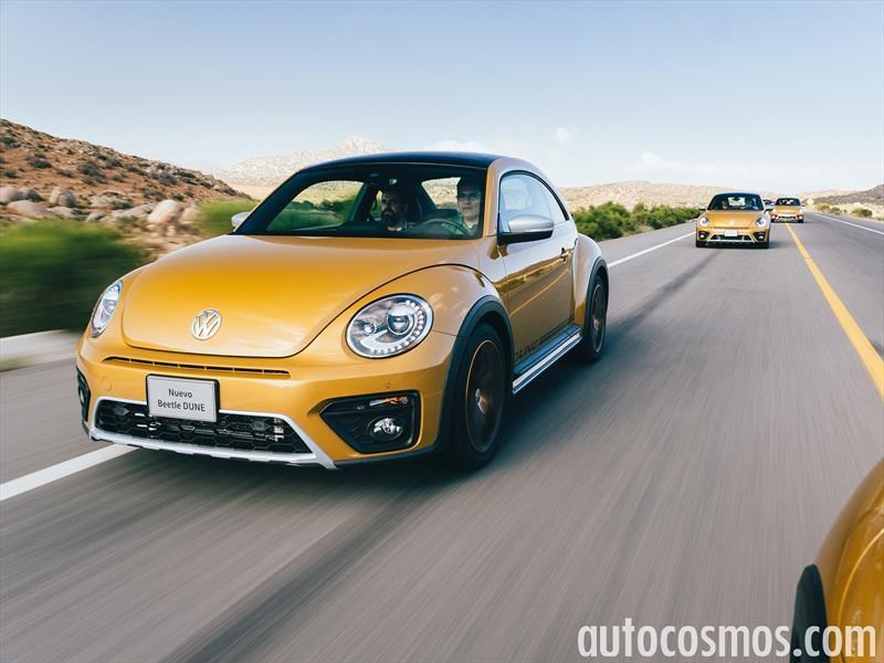Las mejores fotosd e Autocosmos en 2016