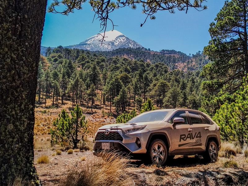 Toyota RAV4 2019
