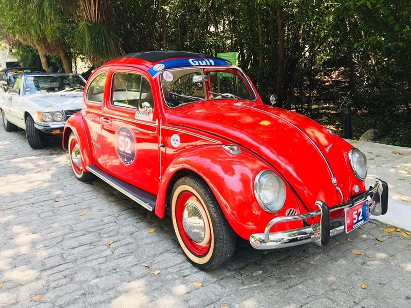 Rally Maya 2019