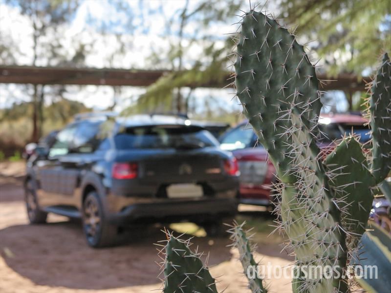 Citroën C4 Cactus primer contacto