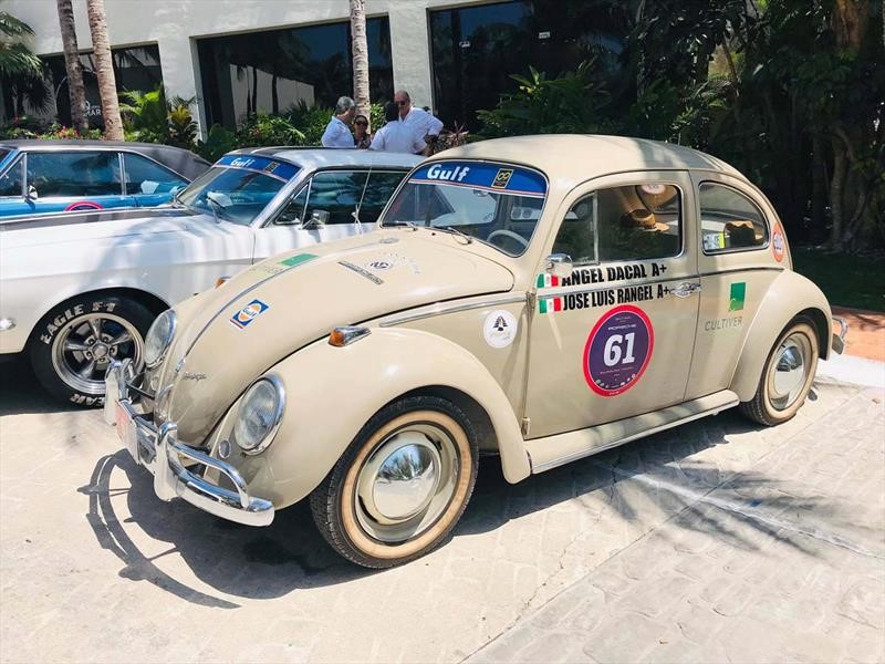 Rally Maya 2019