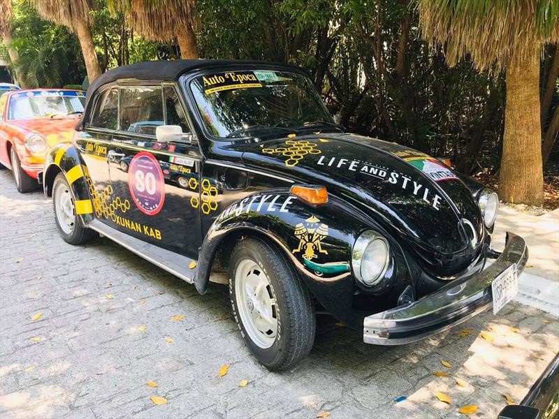 Rally Maya 2019