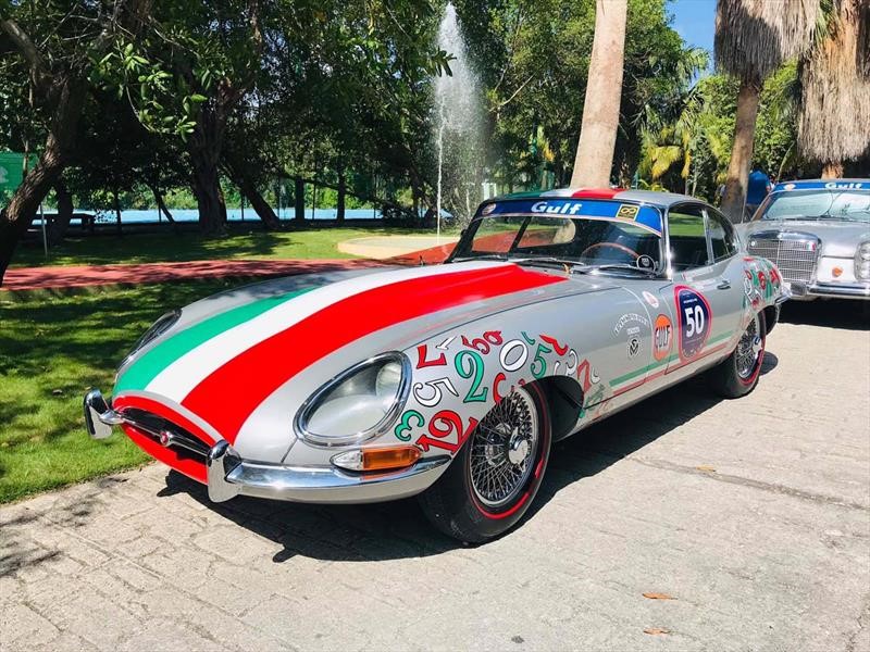 Rally Maya 2019