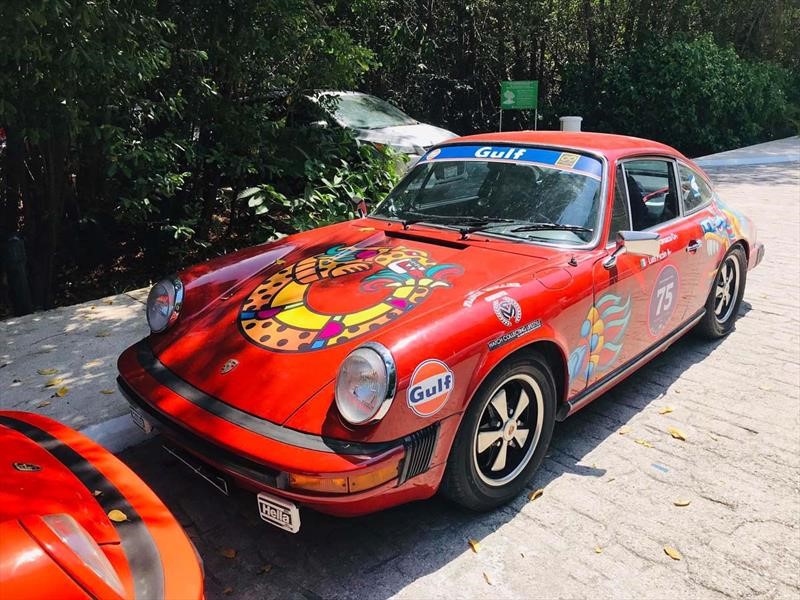 Rally Maya 2019
