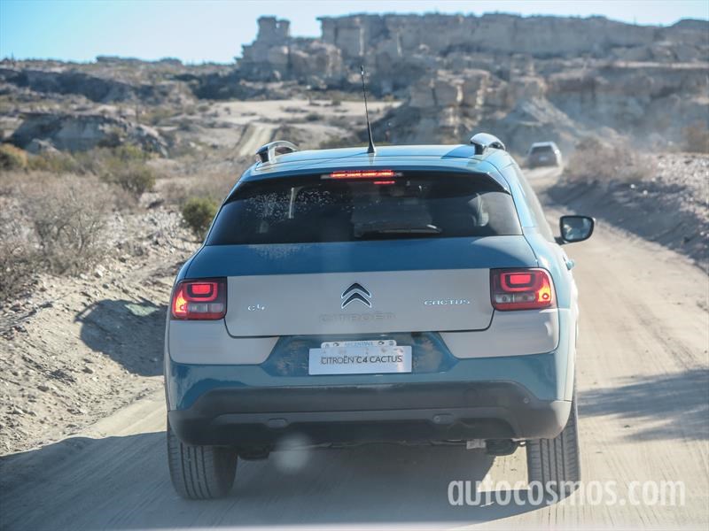 Citroën C4 Cactus primer contacto