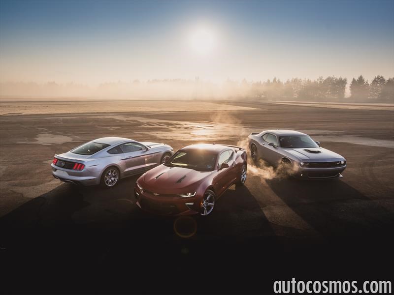 Las mejores fotos de Autocosmos en 2016