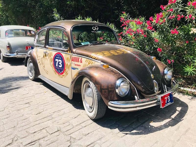 Rally Maya 2019