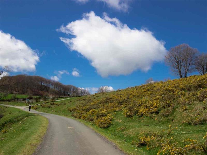 Ruta de Napoleón, Francia