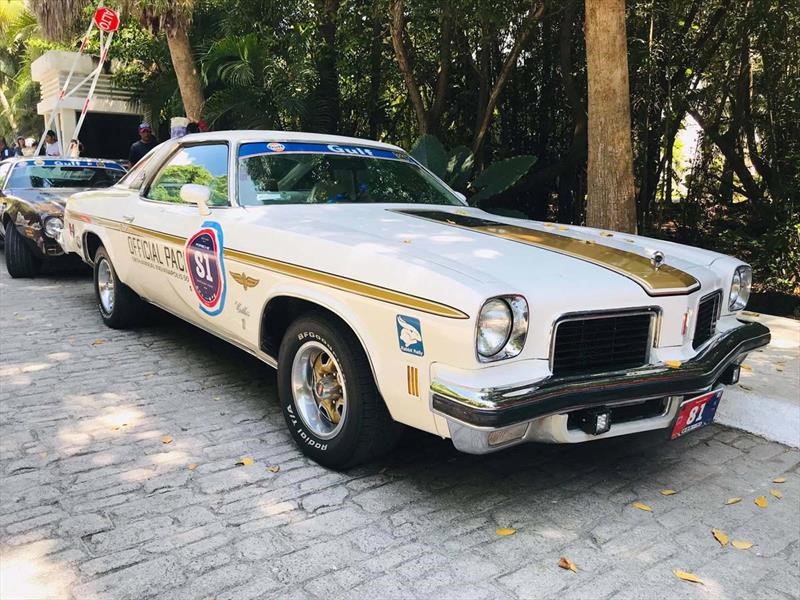 Rally Maya 2019