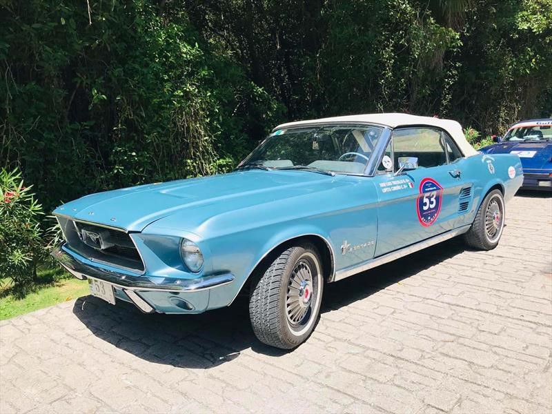 Rally Maya 2019