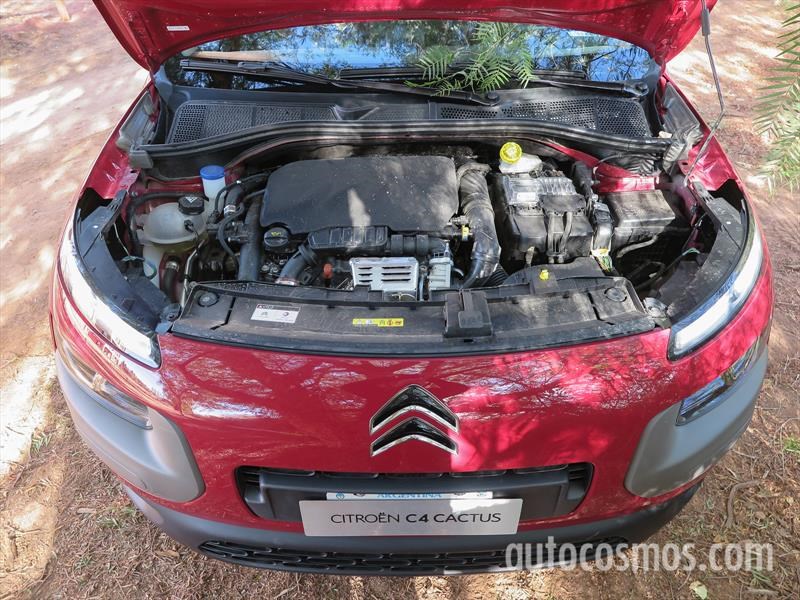 Citroën C4 Cactus primer contacto