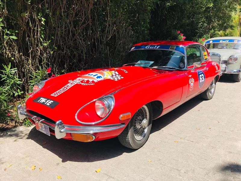 Rally Maya 2019