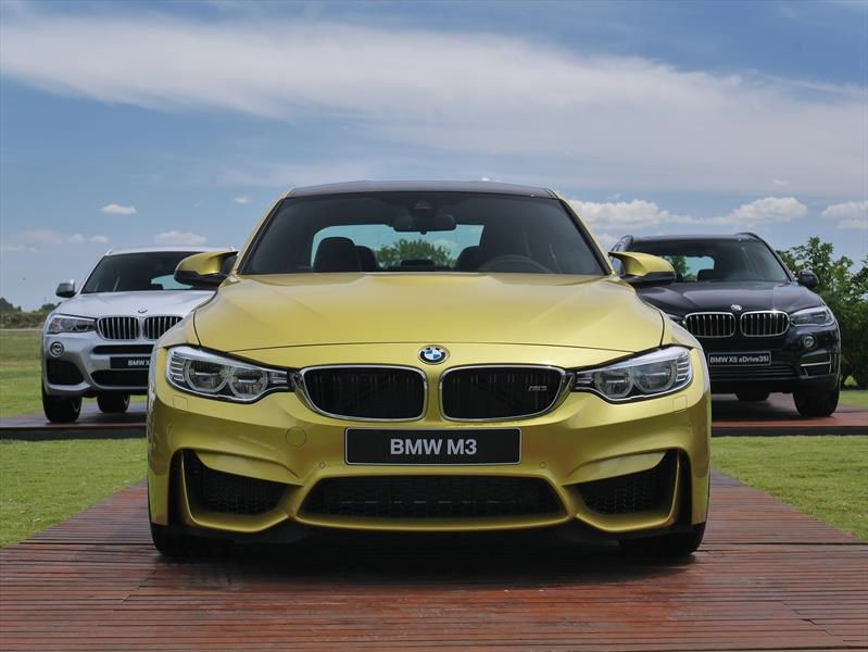 Las mejores fotos de Autocosmos en 2016
