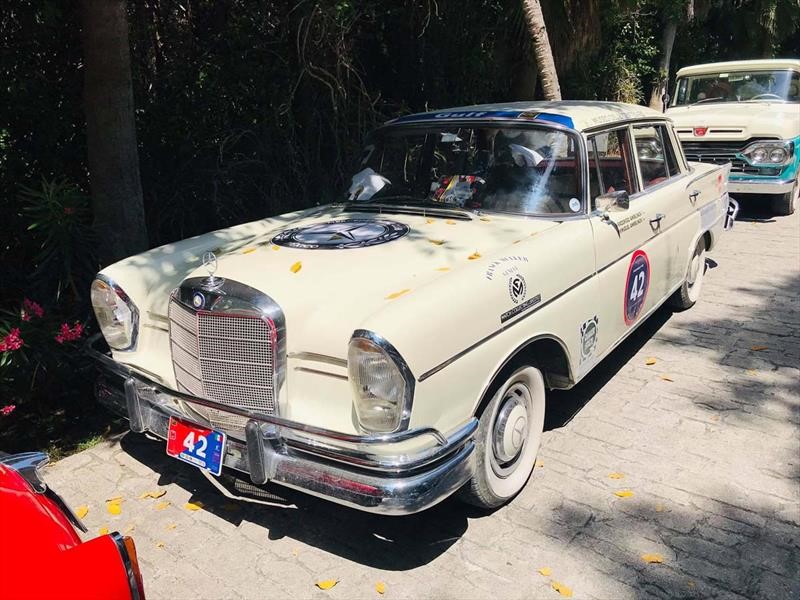 Rally Maya 2019