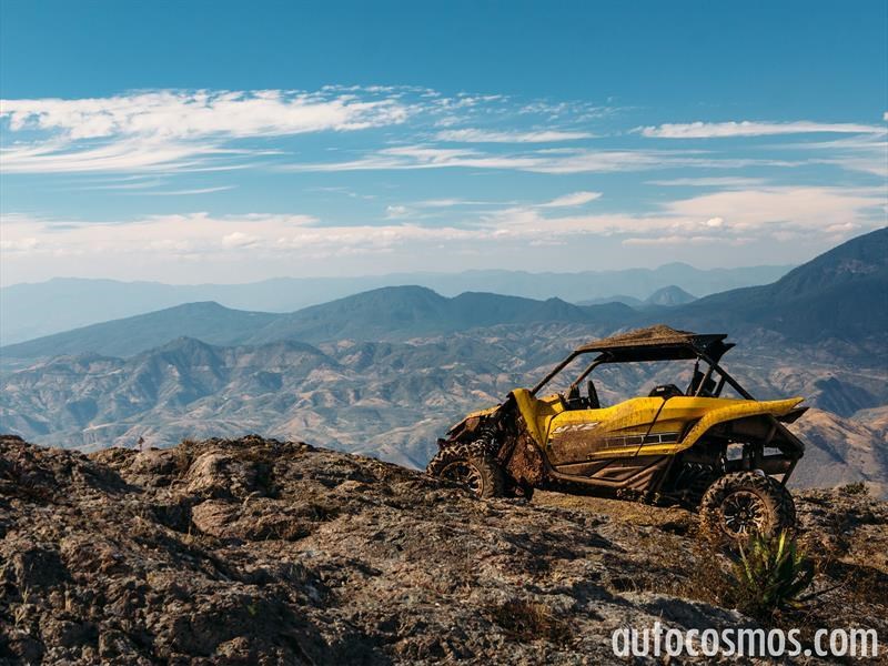 Las mejores fotosd e Autocosmos en 2016
