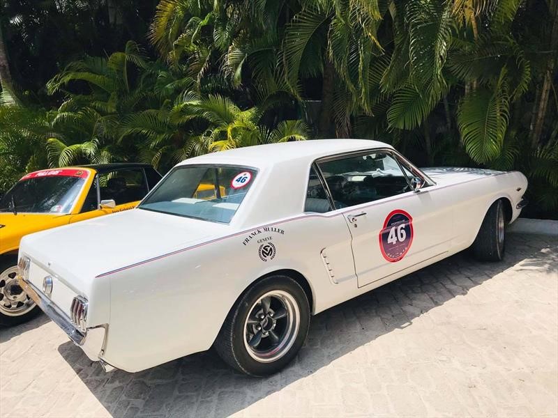 Rally Maya 2019