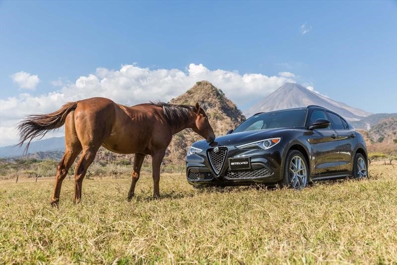 Alfa Romeo Stelvio