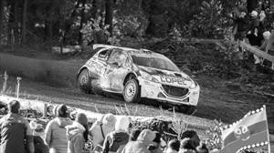 Se suspende fecha del WRC en Concepción debido a la crisis social del pais