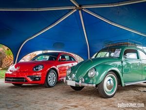 Galería: Día del Escarabajo 2017