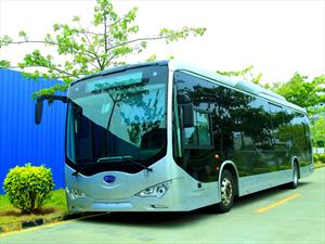 BYD K9 lidera plan piloto en Colombia