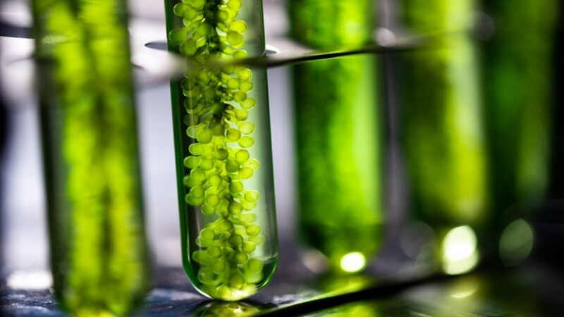 Toyota, Subaru, Mazda, Kawasaki y Yamaha apuestan al hidrogeno y a los biocombustibles