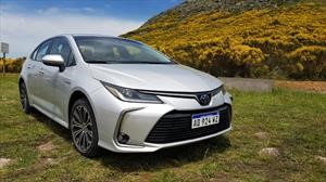 Nuevo Toyota Corolla se lanza en Argentina