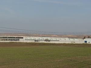 Renault inaugura planta en Argelia
