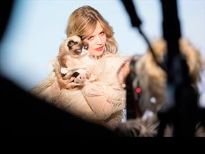 Grumpy Cat es la estrella del calendario 2017 de Opel