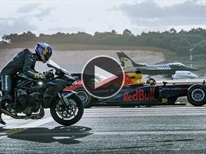 Video: Una picada a la que fueron todos invitados