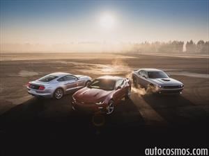 Las 30 mejores fotos de Autocosmos en 2016