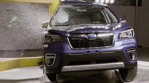Histórico: Subaru Forester logra el mayor puntaje en la historia de JNCAP