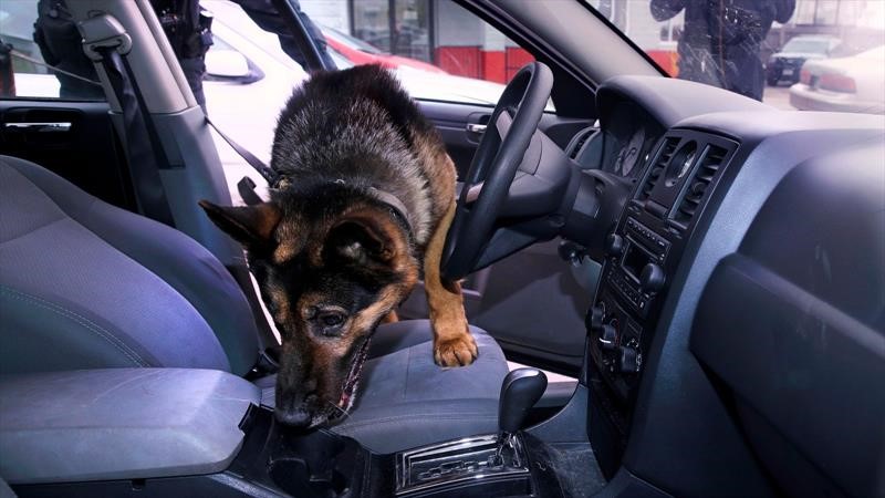 Blanca sorpresa: compró un auto usado y se encontró con 34 kilos de cocaína