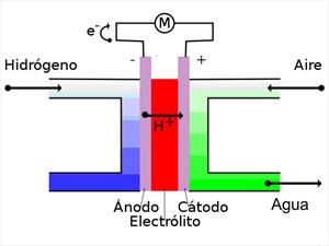 ¿Cómo funcionan las celdas de hidrógeno?
