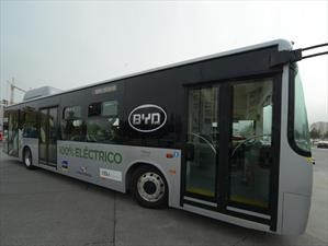 El Gobierno autoriza la importación de colectivos eléctricos