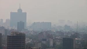 México prohíbe la circulación de autos por la contaminación