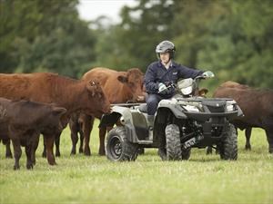 Suzuki LT-A400, una cuadrimoto perfecta para el campo