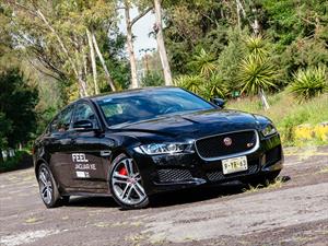 Jaguar XE 2016 a prueba