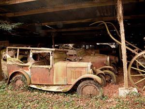 Video: encuentran 15 millones de Euros en autos clásicos abandonados