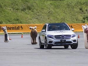 Continental realiza la segunda edición del Ride & Drive México