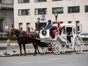 Carruajes jalados por caballos de Central park podrían ser reemplazados con carros eléctricos