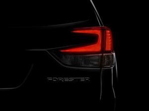 Subaru Forester 2019 se deja ver