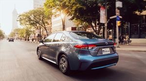 Manejamos el Toyota Corolla Híbrido 2020
