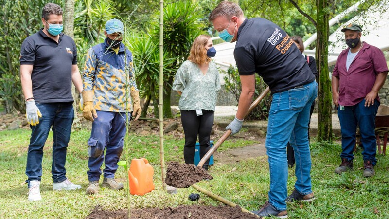 Adopta un árbol, nueva campaña de Renault–Sofasa